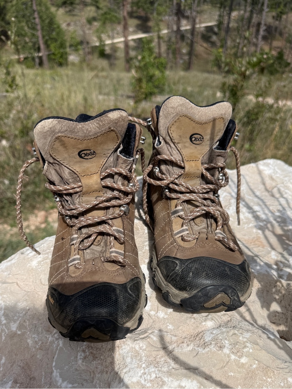 WOMEN'S BRIDGER MID WATERPROOF 8.5 WIDE